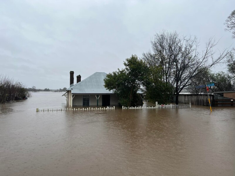 Community Resilience and Emergency Preparedness