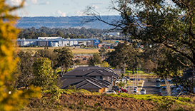 Hills looking over gregory hills small