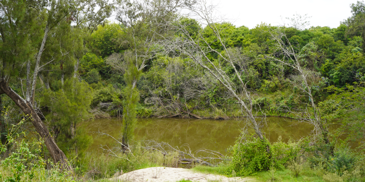 Nepean River