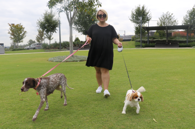 Paws 2024 photo