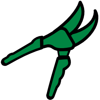 Private Tree Removal or Pruning 