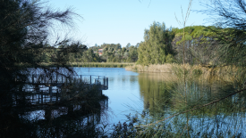 Our Waterways