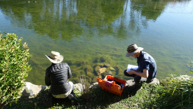 Water Quality Monitoring