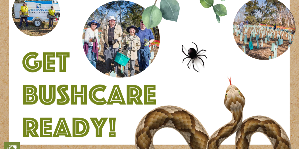 Bushcare Mailchimp Banner