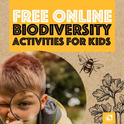 Online Biodiversity Programs Square2
