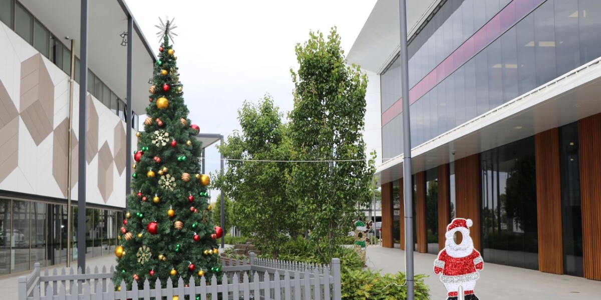 Christmas tree2