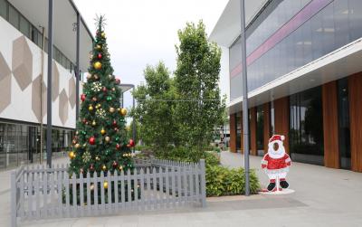 Christmas tree2