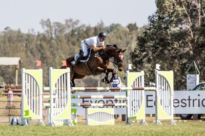 Equestriad