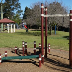 Swan Res 4