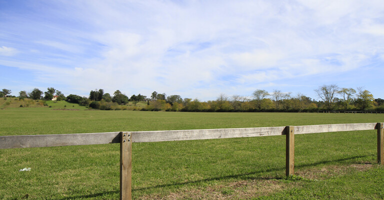 Bicentennial Equestrian Park 2